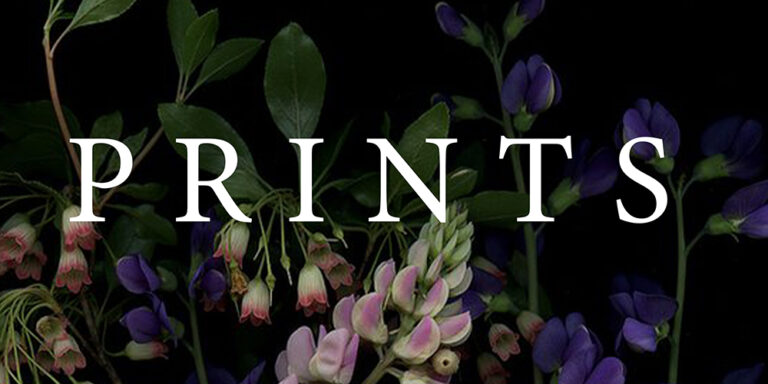 Prints