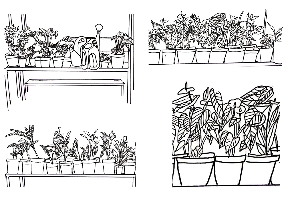 explorations