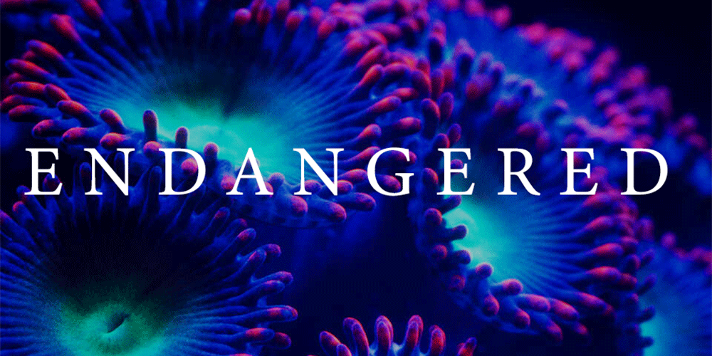 Endangered