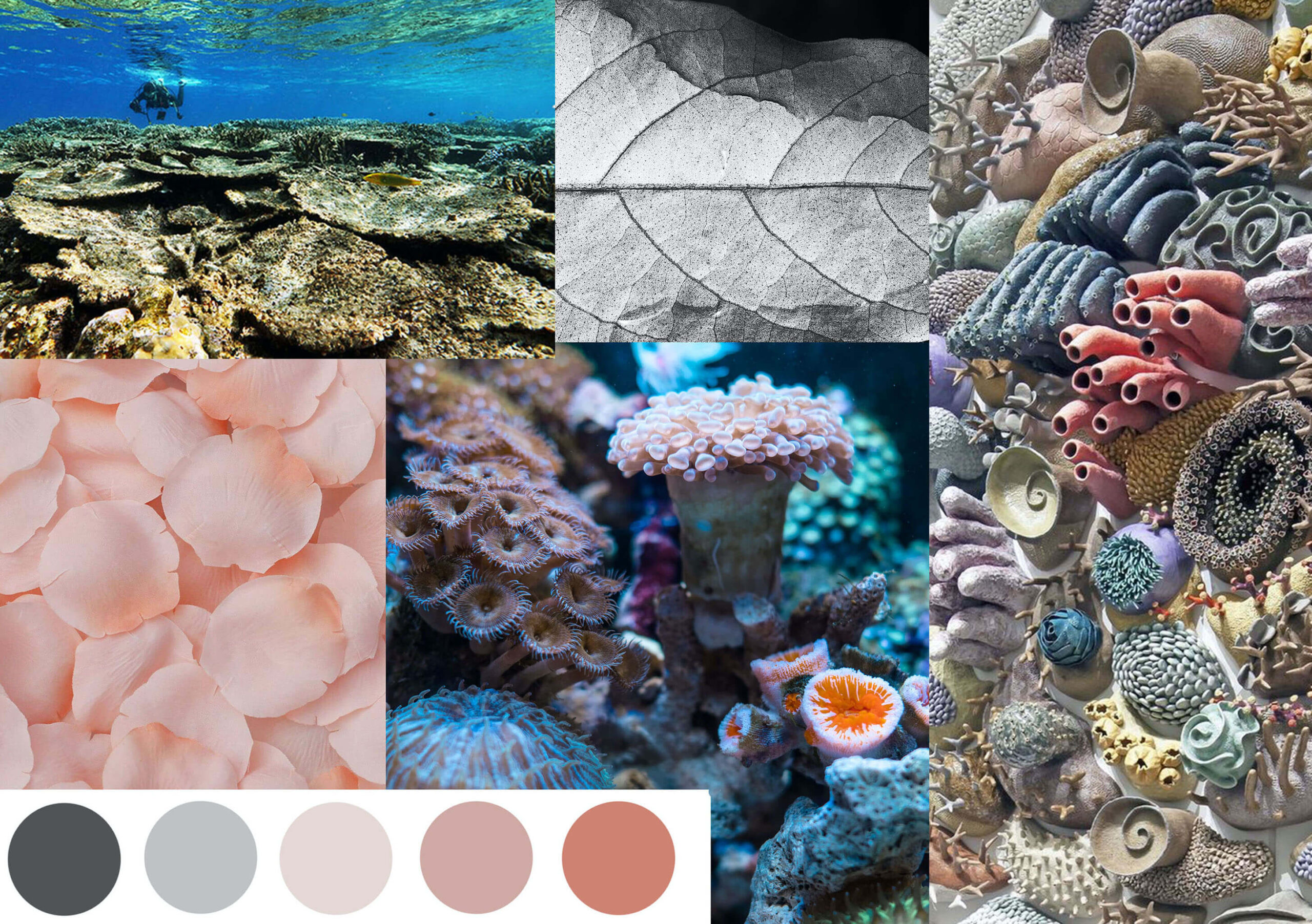 moodboard
